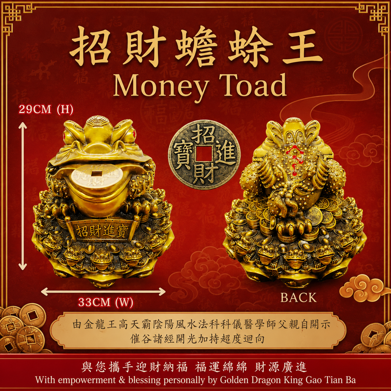 招财蟾蜍王 ｜ MONEY TOAD